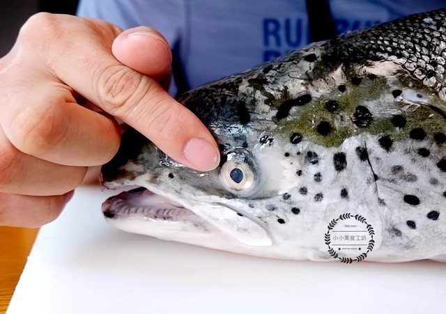 三文鱼为什么可以生吃，三文鱼怎么做家常做法（为什么三文鱼可以直接生吃）