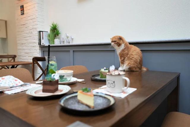 厦门宽厚里步行街的著名小吃，种草好久的厦门宽厚里美食店