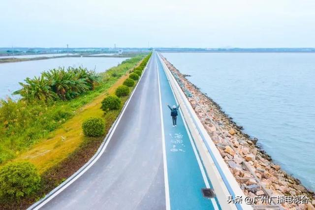 广州哪里可以看海，广州旅游看海的地方（广州这些“无敌海景”碧道藏不住了）