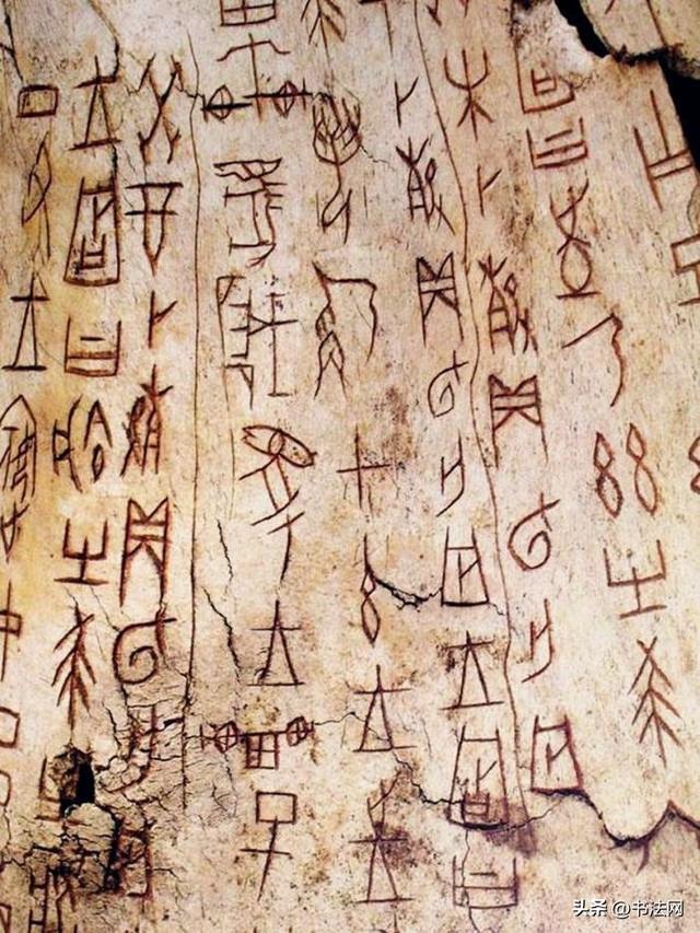 一分钟了解甲骨文的特点，学它要注意哪些问题