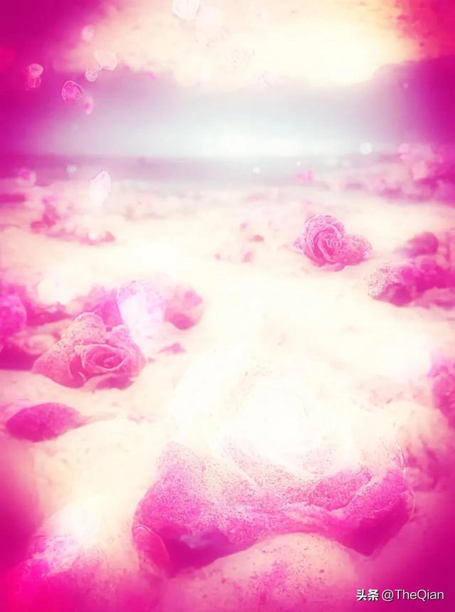 东南西北都顺路，爱你的人东南西北都顺路（喜欢你的人，东西南北都顺路）