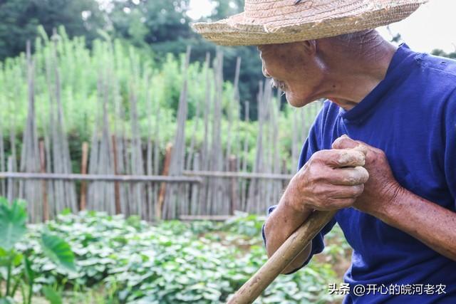 六畜兴旺是什么意思，六畜兴旺的意思是什么（从古至今有过吗）