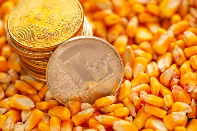 今日玉米价格最新行情昭通市，今天的玉米价格是多少（玉米、鸡蛋、油价“涨翻天”）