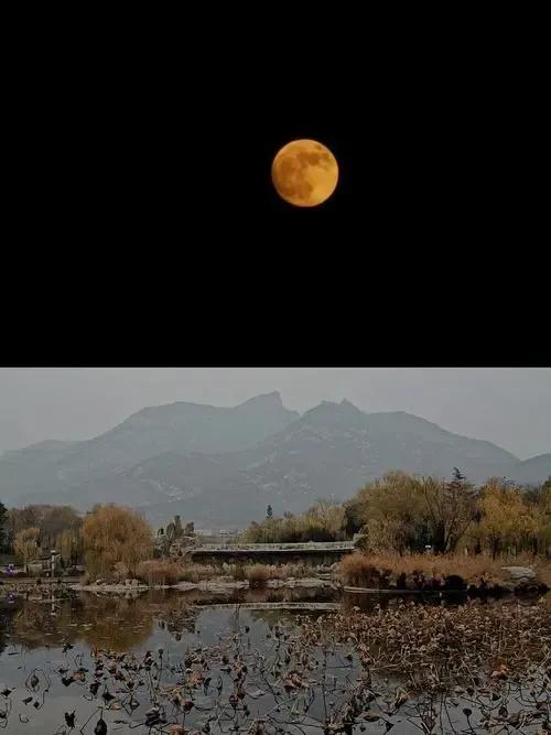 说与山鬼听出自哪里,山鬼说的是什么(那些我们也许一辈子都写不出的