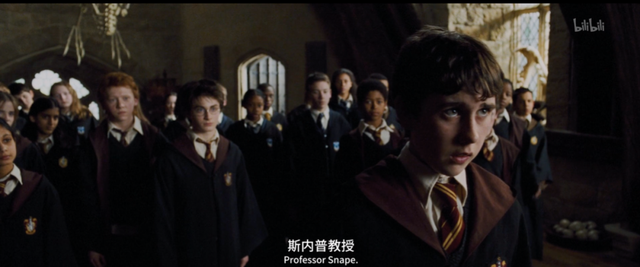 斯内普是好人还是坏人，《哈利波特》中斯内普是好的还是坏的（被嫌弃的斯内普的一生）