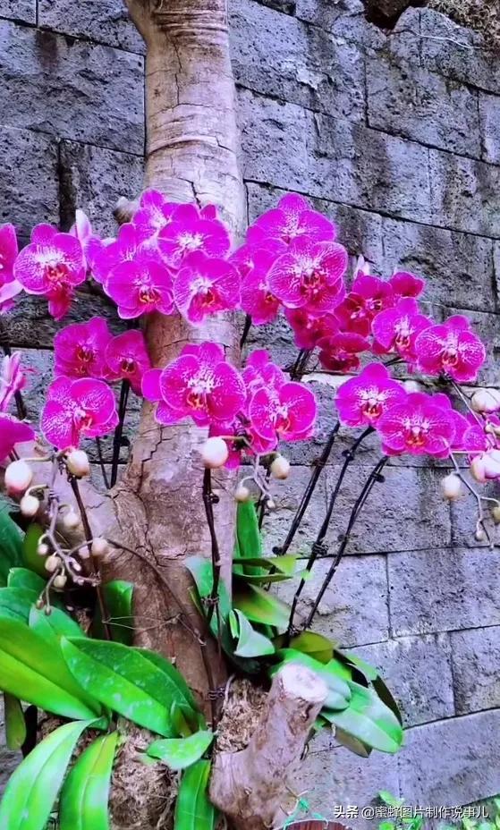 风景美图，风景美图壁纸（鲜花争艳，美景如画，过目不忘）