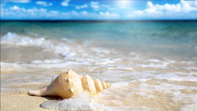 金牛座女生有什么特点，金牛座有什么特点女孩（性格安静、坚强的金牛座女性）