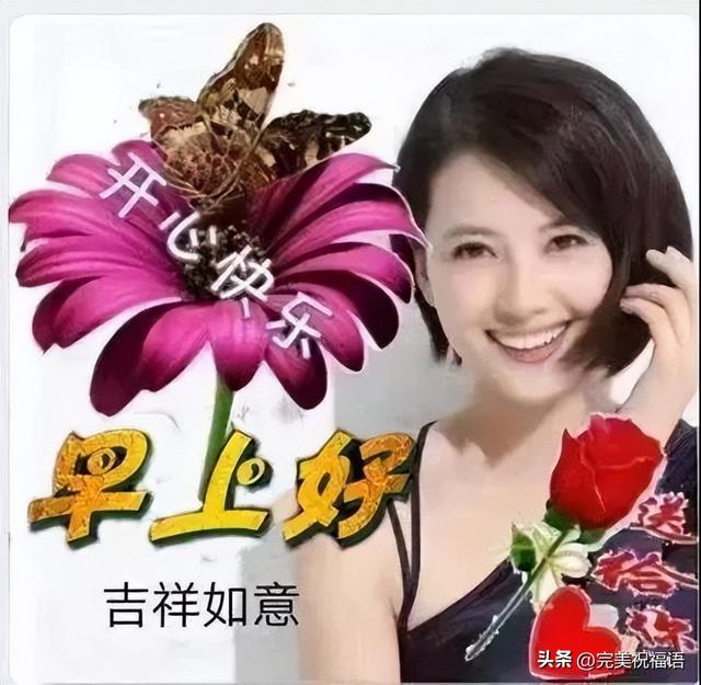 祝贺语大全，祝贺语怎么说（今日最新早上好表情大全）