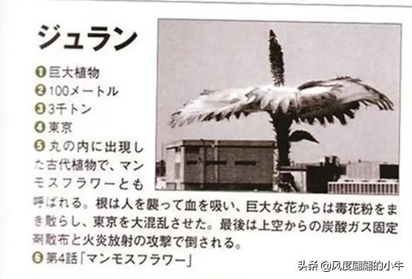 手q是什么意思，手Q是什么意思（奥特Q怪兽图鉴）