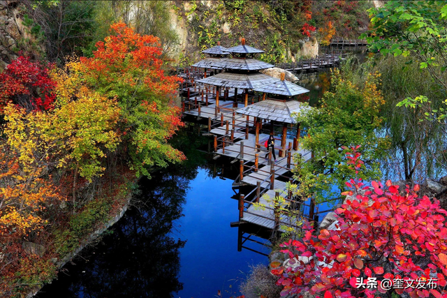 齐鲁大地指哪里，齐国和鲁国是现在的哪里（山东的“山”是哪座山）