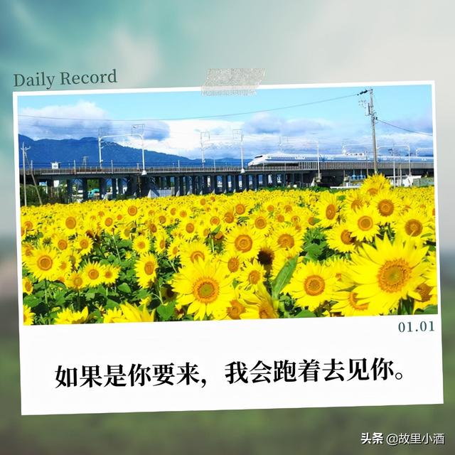朋友圈说说公司聚会，朋友圈说说公司聚会感言（总有一些人一起坐着就很快乐）