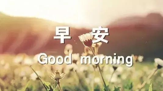 最新温馨早安心语，2019最温馨的早安心语（朋友圈早晨好问候语句）