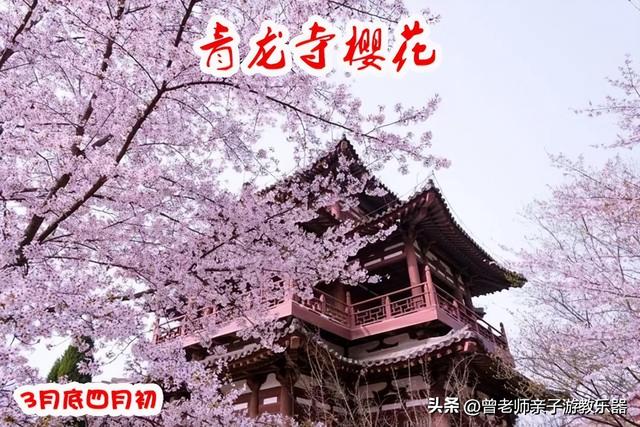 西安汉城湖公园，西安汉城湖景区景点介绍（2023西安旅游值得去的30个景区大全）