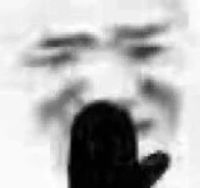 熊猫头，微信头像，熊猫头（表情包第六弹‖搞怪熊猫头）