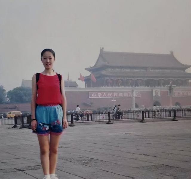 刘敏涛个人简历，刘敏涛个人资料（终于迎来了她的春天）