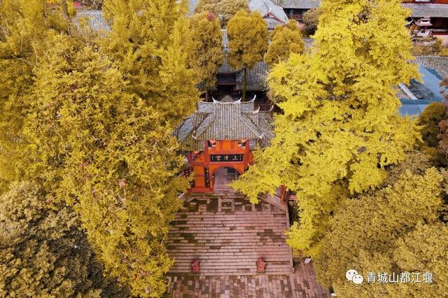 青城山旅游，青城山旅游图（赏千年银杏、观层林尽染、泡山间温泉......顶奢配置慢生活尽在青城山～）