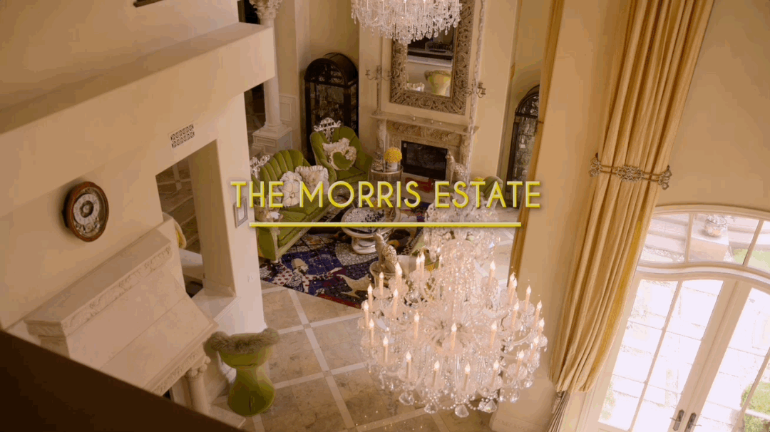 模特dj是什么意思，女性dj是什么意思啊（有钱人世界竟然由这七类人构成）