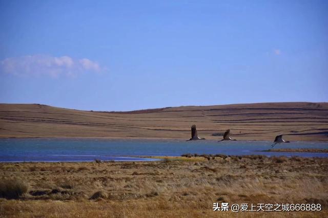 九月份的昭通大山包景观，云南的可可西里