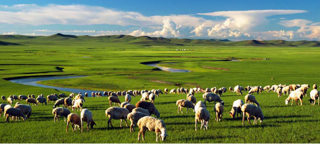 内蒙古接壤的省份，有几个省市和内蒙古接壤（1979年区划调整时）