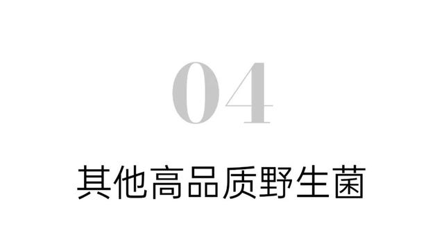干巴菌怎么炒，干巴菌怎么炒不苦（这9道极致鲜味，错过再等1年）