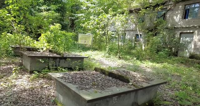 重庆市工业学校，重庆市工业学校2021招生简章（北碚这所中专校园荒废了13年还保留完好；30多年前比大学还吃香）