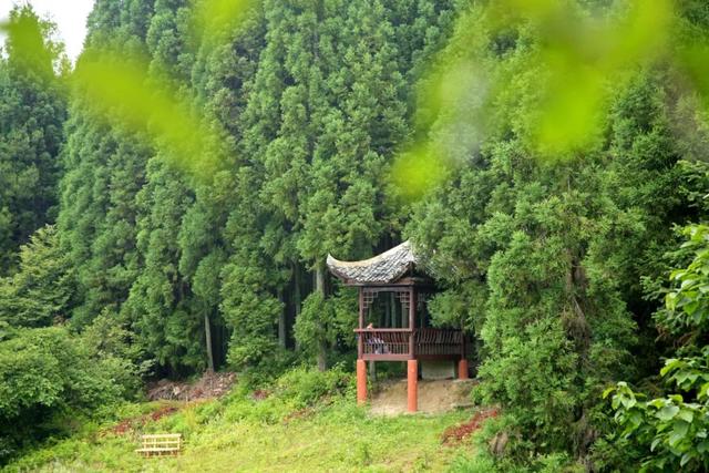 黃水的旅遊景點有油草河風景區,馬腦城風景區,土家民居觀光區,大風堡