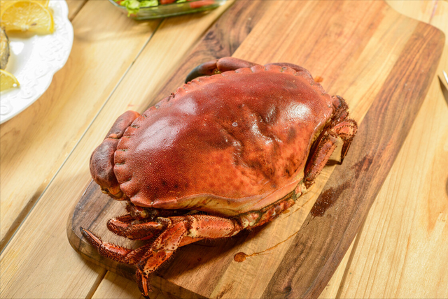 螃蟹的品种有哪些，什么品种的螃蟹（带你认识不同的螃蟹和吃法）