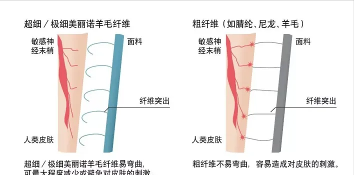 稻草人服饰（Merino美利奴保暖内衣推荐）