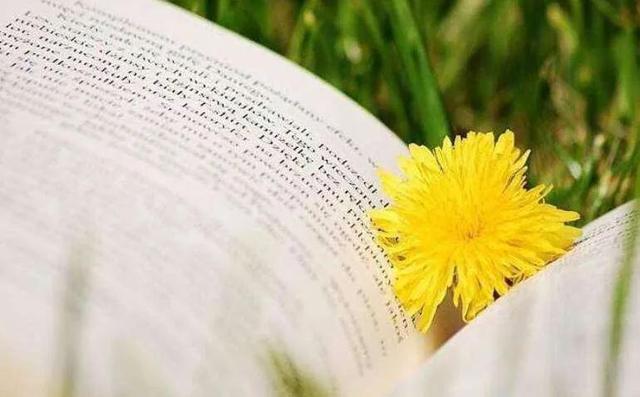 经典人生格言100句，情感语录大全最新情感语录（励志精辟经典语句100句）