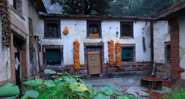 江湖奇兵大结局，江湖奇案结局（一个从山村到城市的社会记忆）