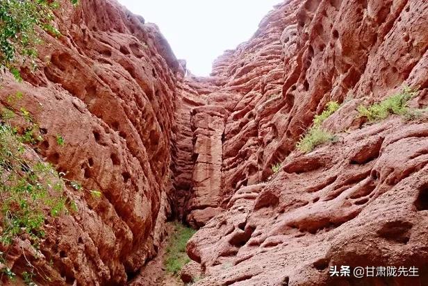张掖海拔多少米，张掖风景名胜区（张掖，一座被严重低估的城市）