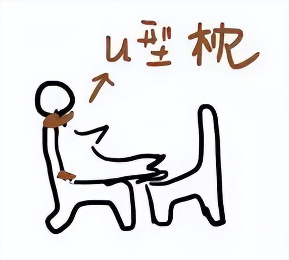 内衣跑杯的原因，内衣穿着穿着就跑杯了的原因有哪些（伤颈变丑还越睡越累）