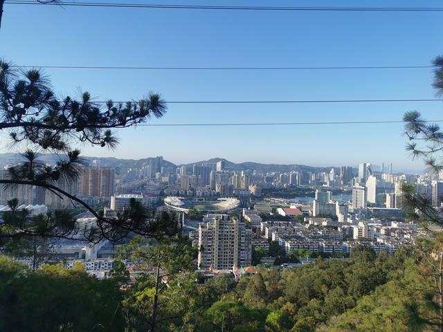 厦门十大适合端午旅游的地方是什么，厦门适合秋游的地方（推荐几个值得一去的小众打卡点）