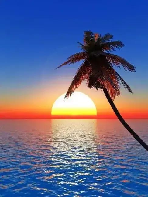 好人好事的句子，好人好事的句子10句急谢谢（人若向善）