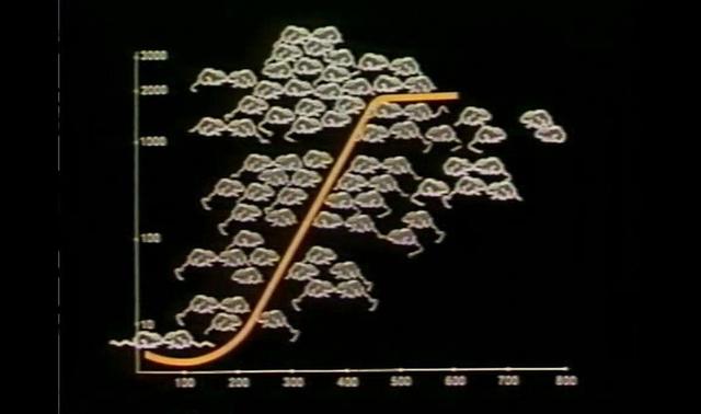 小白鼠多少钱一只，小白鼠（美国将8只白鼠放进“乐园”）