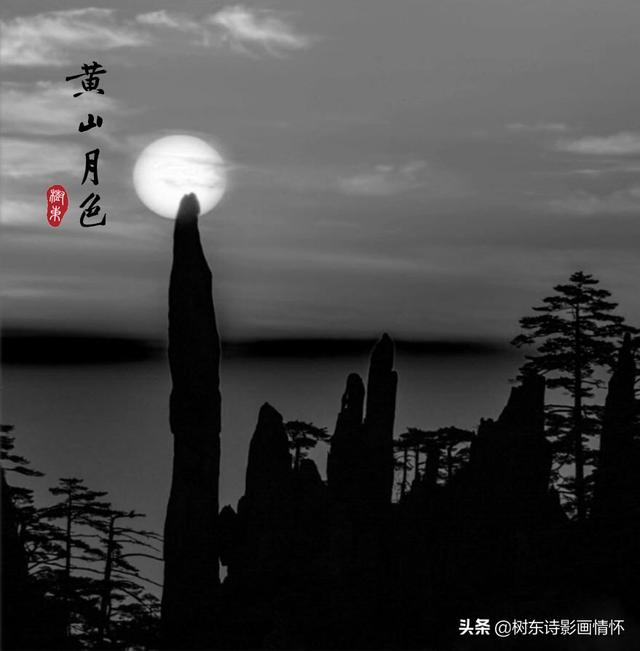 松树有什么象征与含义，松树象征的意义是什么（松在中华文化中象征着一种精神）