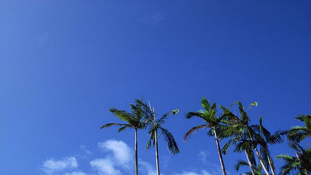 带佩字的男孩名字，佩名字带佩字的名字（10个一表人才的带字小男孩名字）