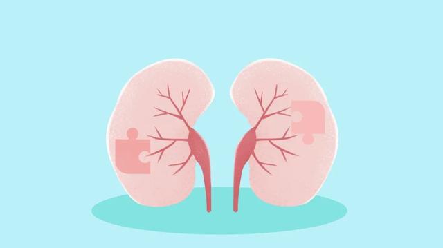 腰子的吃法,腰子的家常做法大全窍门(吃烤腰子到底有用吗)