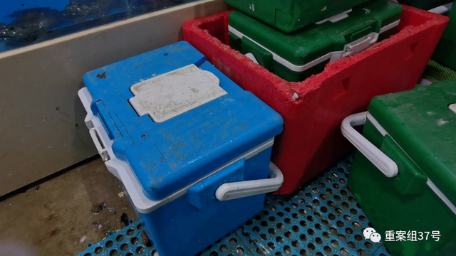 生鲜指的是哪些产品，生鲜是指什么产品（卧底生鲜电商配送站）