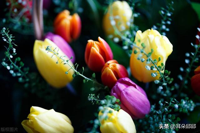 生日祝福语问候语短信大全，问候生日的祝福短信（生日快乐的新颖且内涵的祝福语）