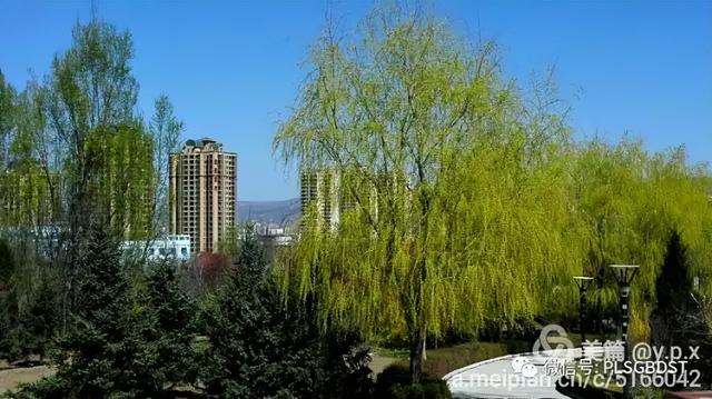 南山公园在哪里，深圳大南山公园开放时间（这是你们熟悉的那个南山公园吗）