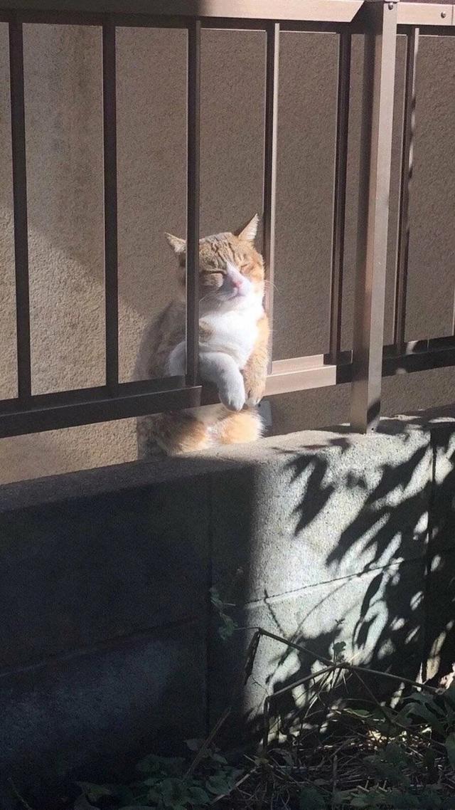 carpe diem，微信头像，carpe diem（及时行乐）（每一个都是别具一格的存在）