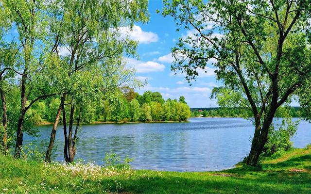 戒烟的英文短语，戒烟的英文（<Concealed）