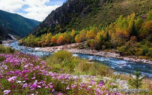 四川有哪些景点，四川旅游必去十大景点推荐（四川最美的二十个景区有哪些）