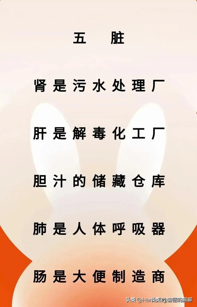 十二时辰速记法口诀，感情如面别越界；古代出生时辰顺口溜