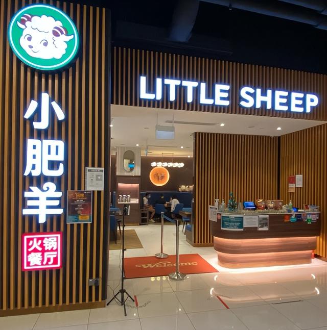 火锅店加盟需要哪些品牌，2023年火爆的火锅加盟店项目有哪些呢