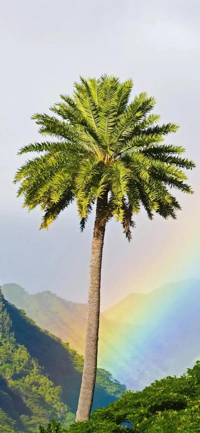 头条#67本文关键词:适合发说说的风景图片带字,发说说的图片风景图