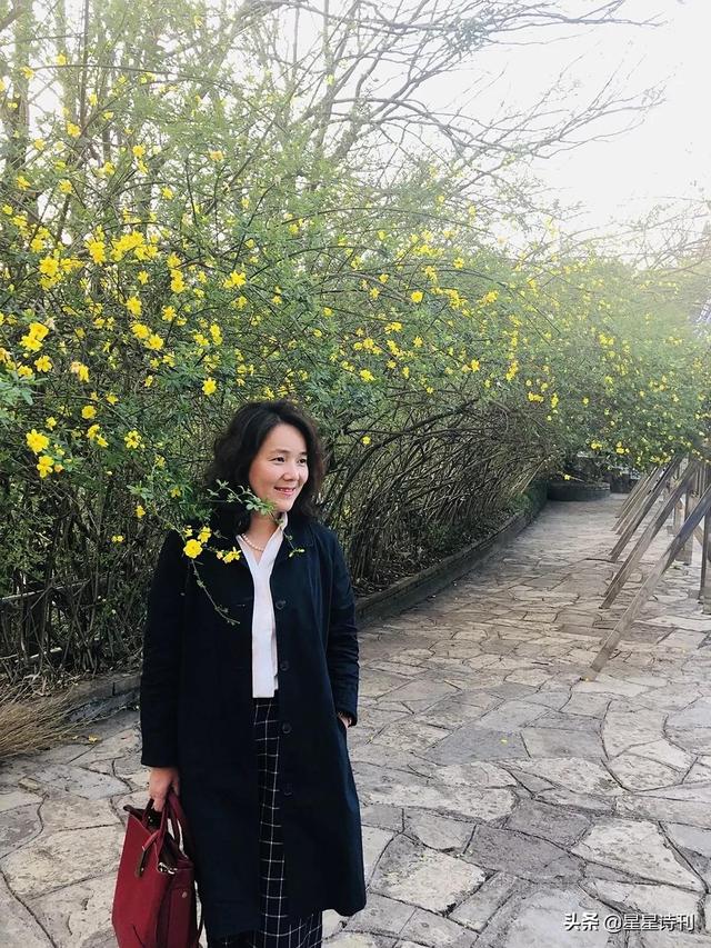 外国诗译介丨它们摇着头。黄昏充溢着阴影