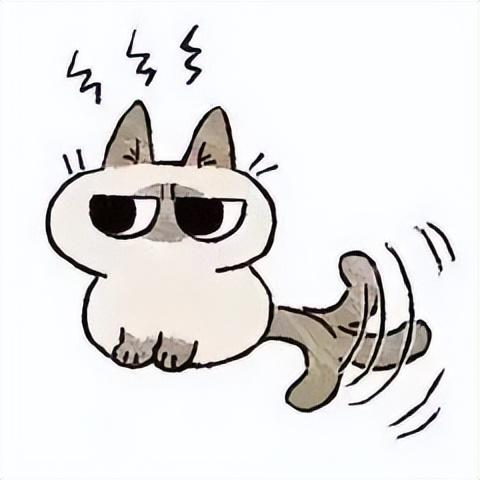 好看的表情包(10000种表情包图片大全)