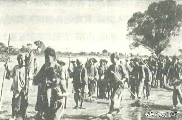 微山湖在哪，微山湖在哪个省份（微山湖本是苏鲁两省的界湖）